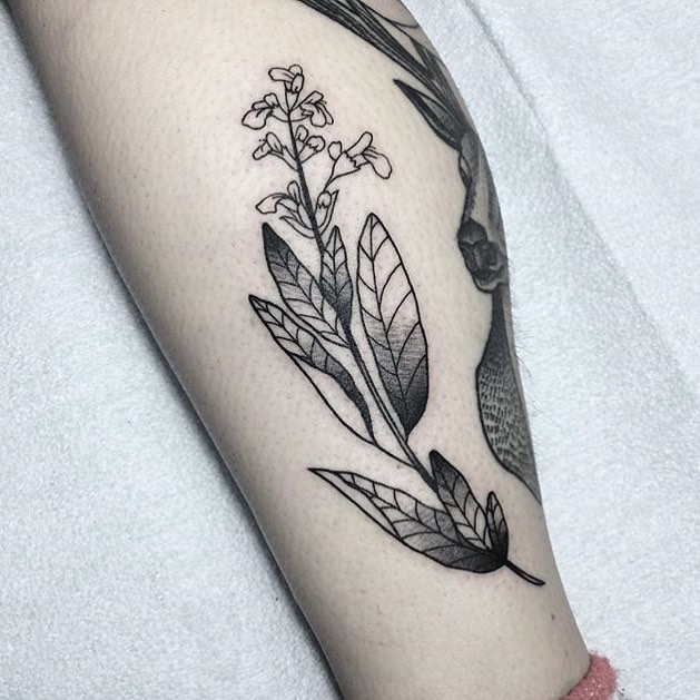 Black wildflowers tattoo - Tattoogrid.net