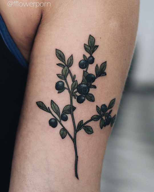 Blueberries tattoo on the left arm
