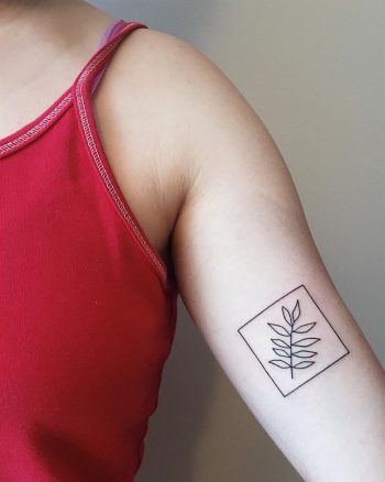 Minimal fern leaf in a rectangle