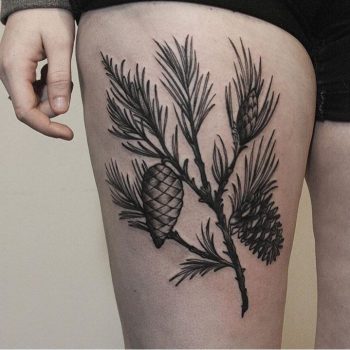 Pine branch with cones tattoo