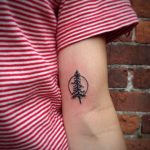 Pine tree in a circle tattoo