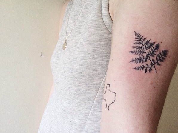 Small fern leaf tattoo on the arm