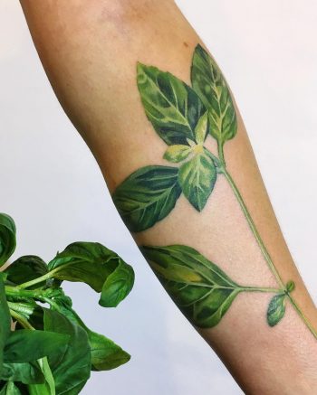 Basil leaf tattoo