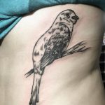 Bird tattoo on the rib