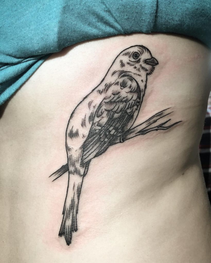 Bird tattoo on the rib