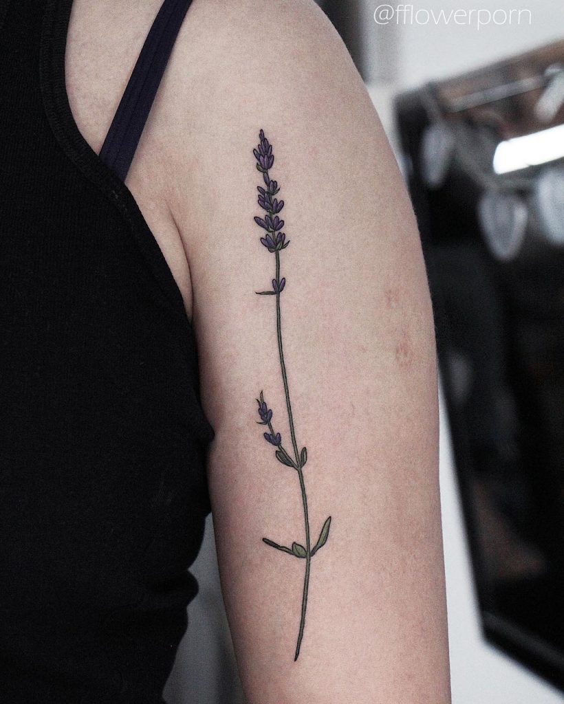 Black long plant tattoo