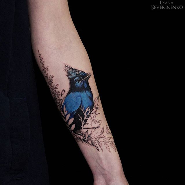 Madlyne van Looy Tattoo & Art - A (eurasian) jay from a while ago Love  these birds and their blue feathers. I collected a lot of them when I was a  child