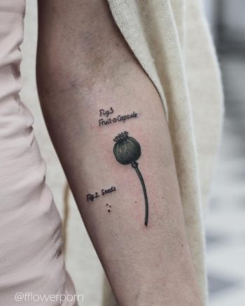 Poppy head tattoo