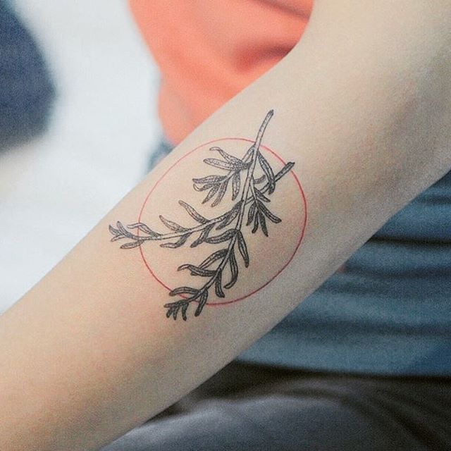 Rosemary tattoo located on the forearm, watercolor