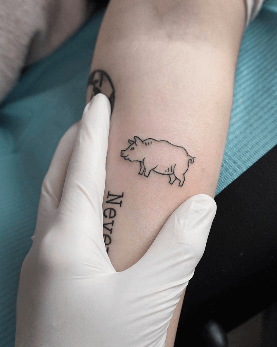 Small outline pig tattoo
