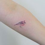 Small red finch tattoo