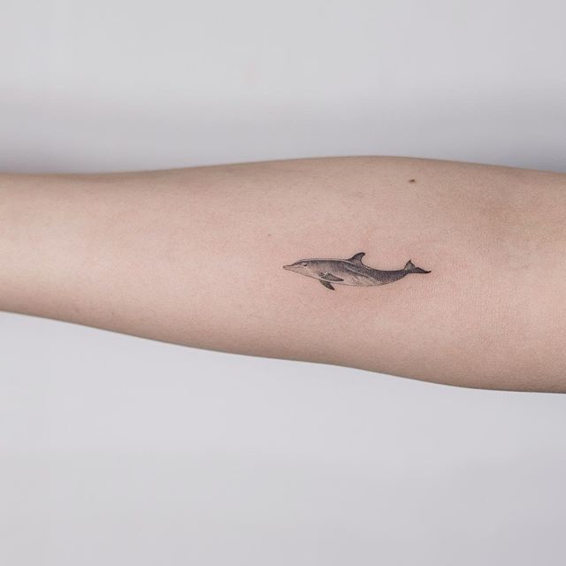 Tiny dolphin tattoo on the forearm 