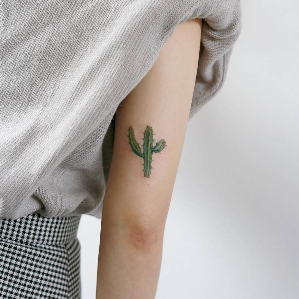 Cactus on the back of the arm