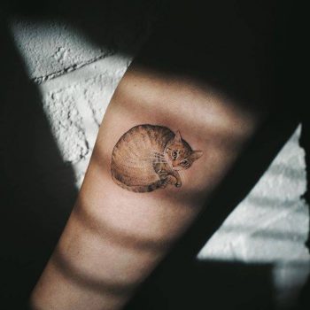 Curled up cat tattoo