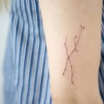 Delicate twig on the arm