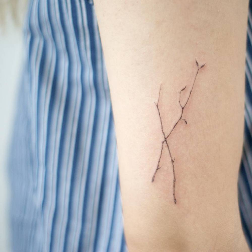 Delicate twig on the arm