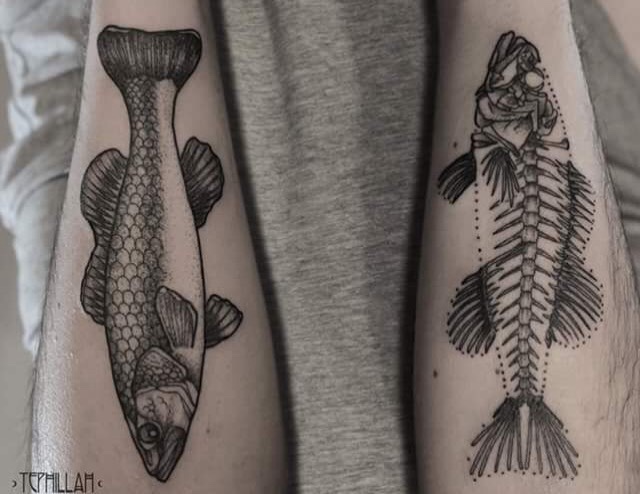 Fish and skeleton