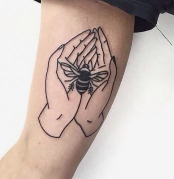 Hands holding a bee