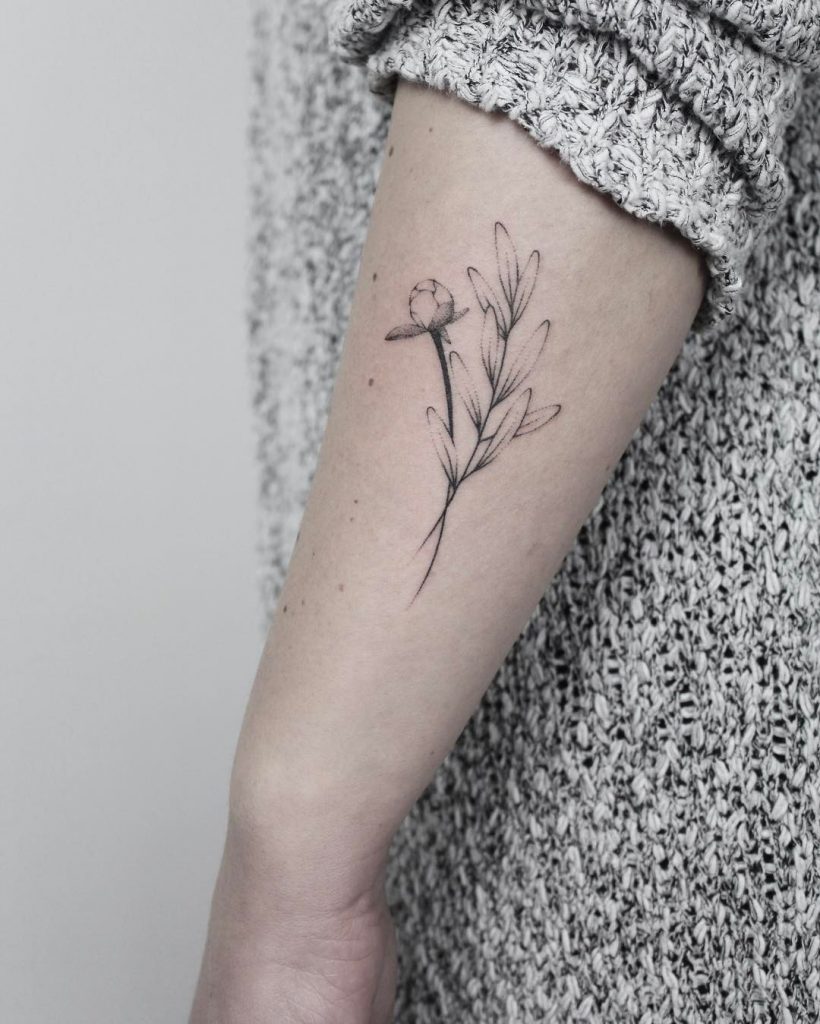 Peony and olive branch tattoo 