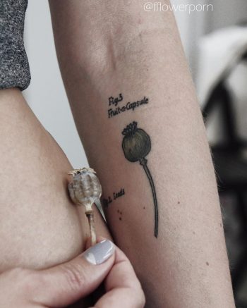 Poppy head tattoo on the forearm