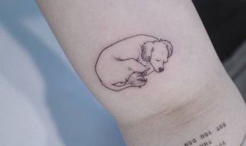 Sleeping dog tattoo