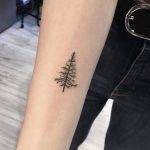 Small pine tree tattoo on the inner forearm