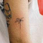 Tiny palm tree