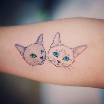 Two cats tattoo