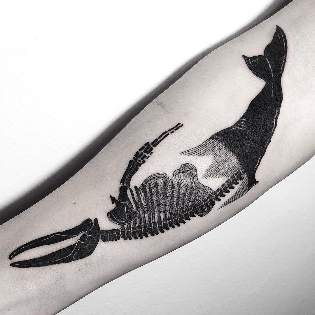 Whale fossil tattoo