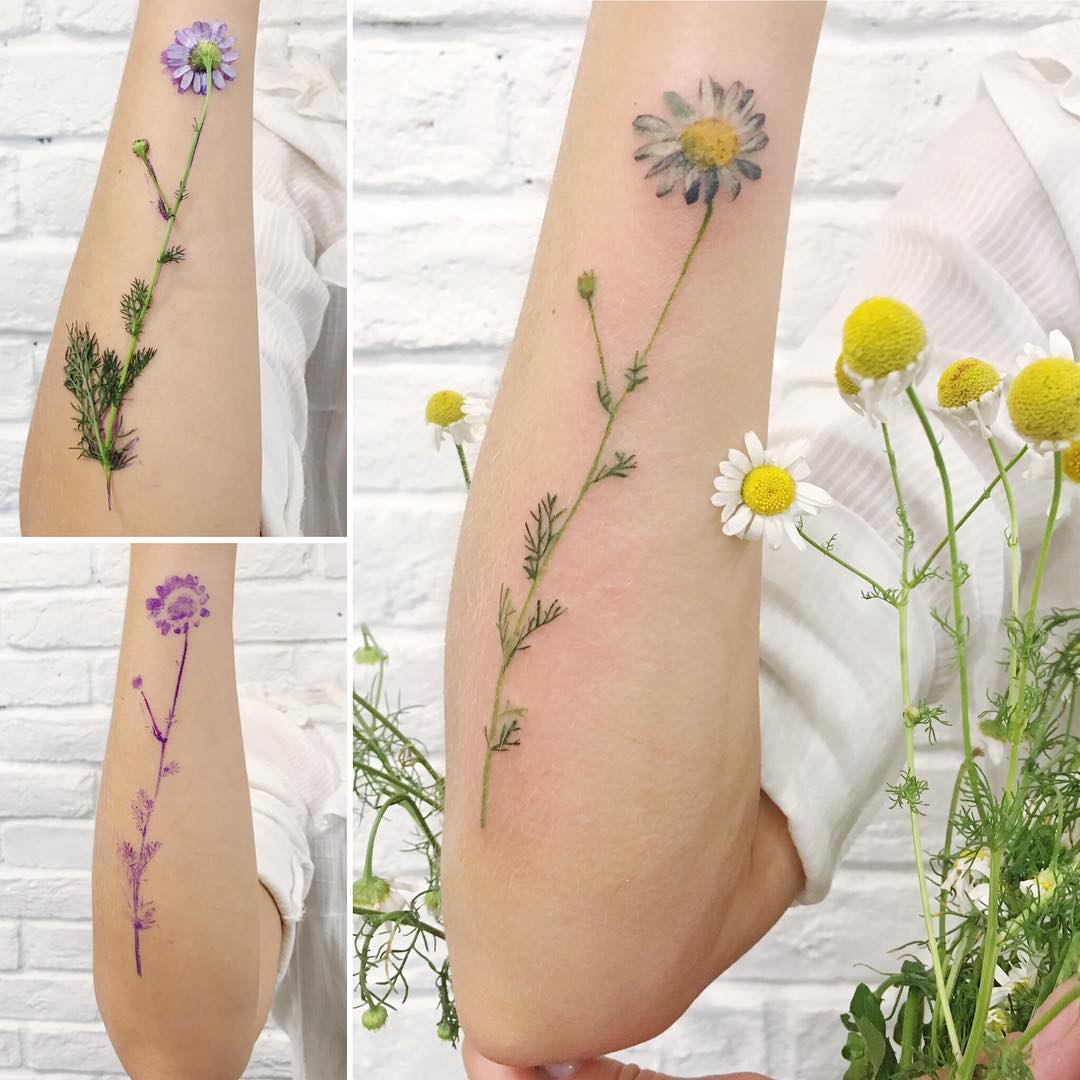 Chamomile real flower tattoo