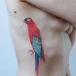 Colorful parrot tattoo