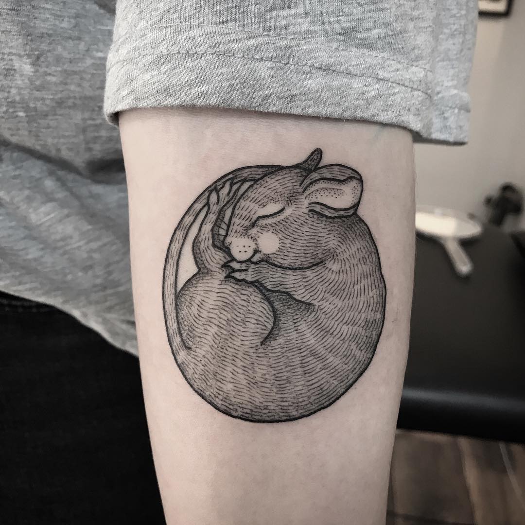 Cute curled up mouse tattoo