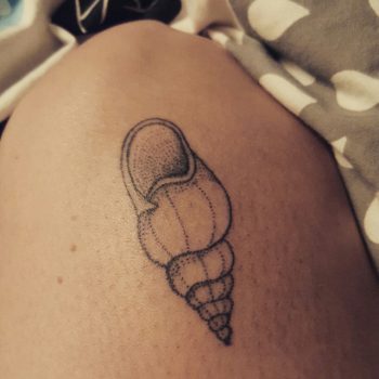 Dotwork shell tattoo