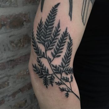 Dotwork style black branch with leaves tattoo