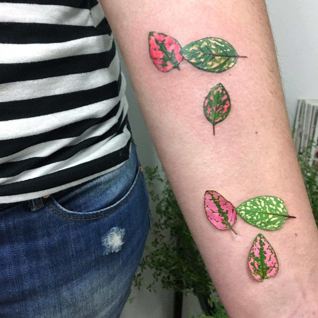 Pink and green leaves of polka dot plant tattoo