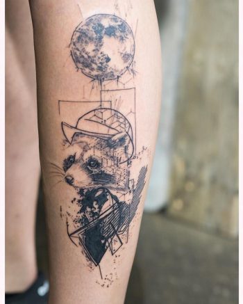 Raccoon and abstractions