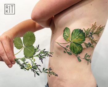 Strawberry leaf thuja and alfalfa tattoo