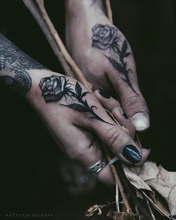 Two black roses on thumbs
