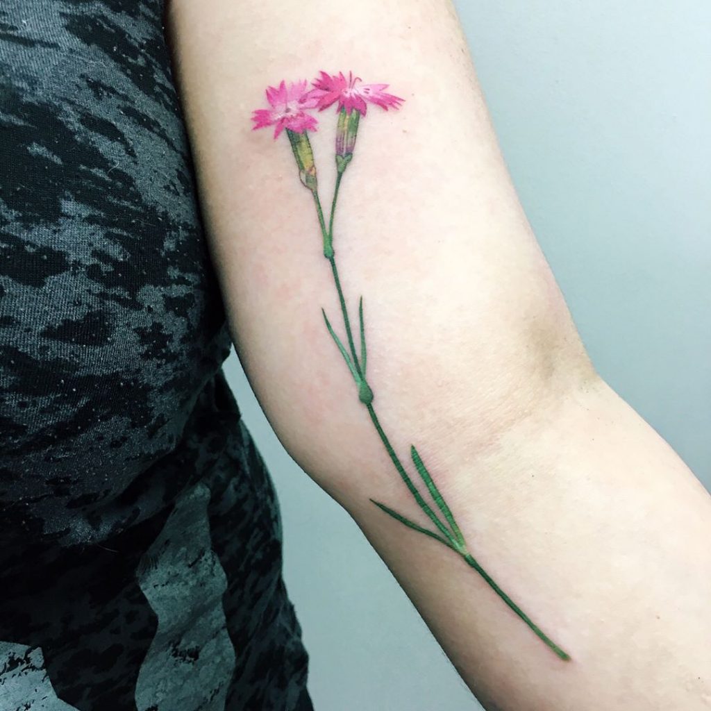 Wild carnation tattoo on the arm