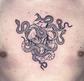 Anatomical heart wrapped in snakes