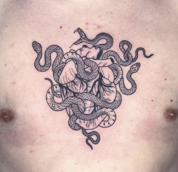 Anatomical heart wrapped in snakes