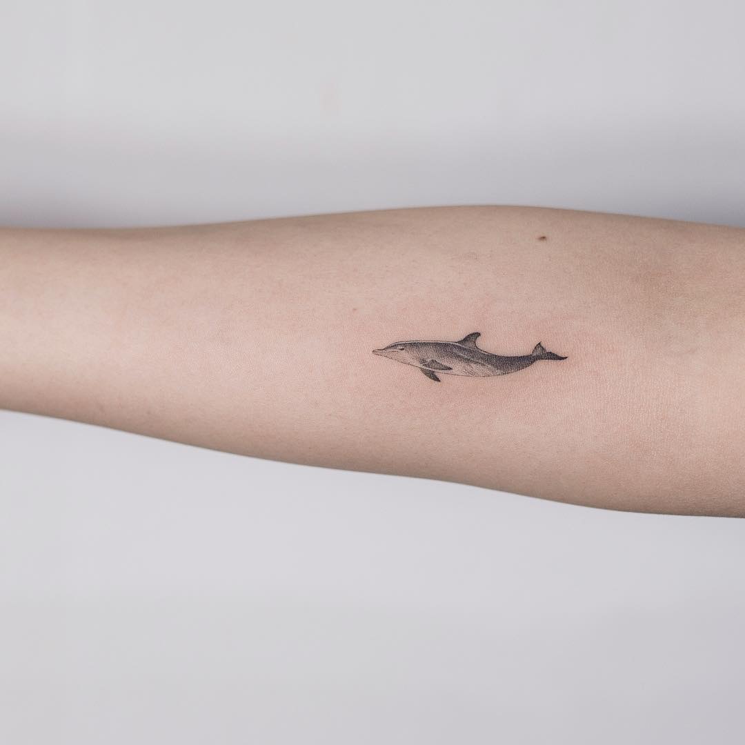 Beautiful small dolphin tattoo 