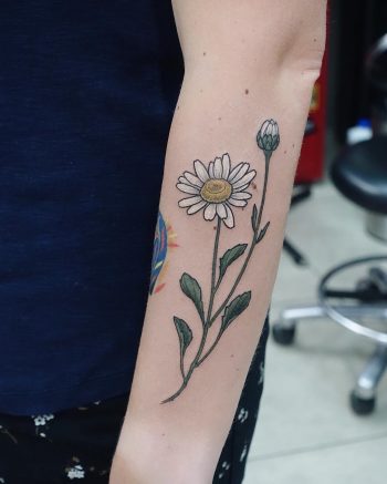 Camomile tattoo on the forearm