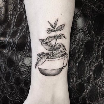 Coffee plant tattoo