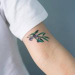 Delicate olive branch tattoo on the bicep