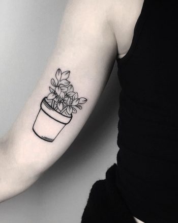 Jade plant tattoo