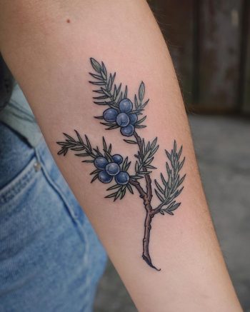 Juniper branch tattoo