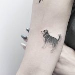 Micro husky tattoo by lindsay april