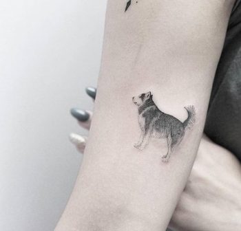 Micro husky tattoo by lindsay april