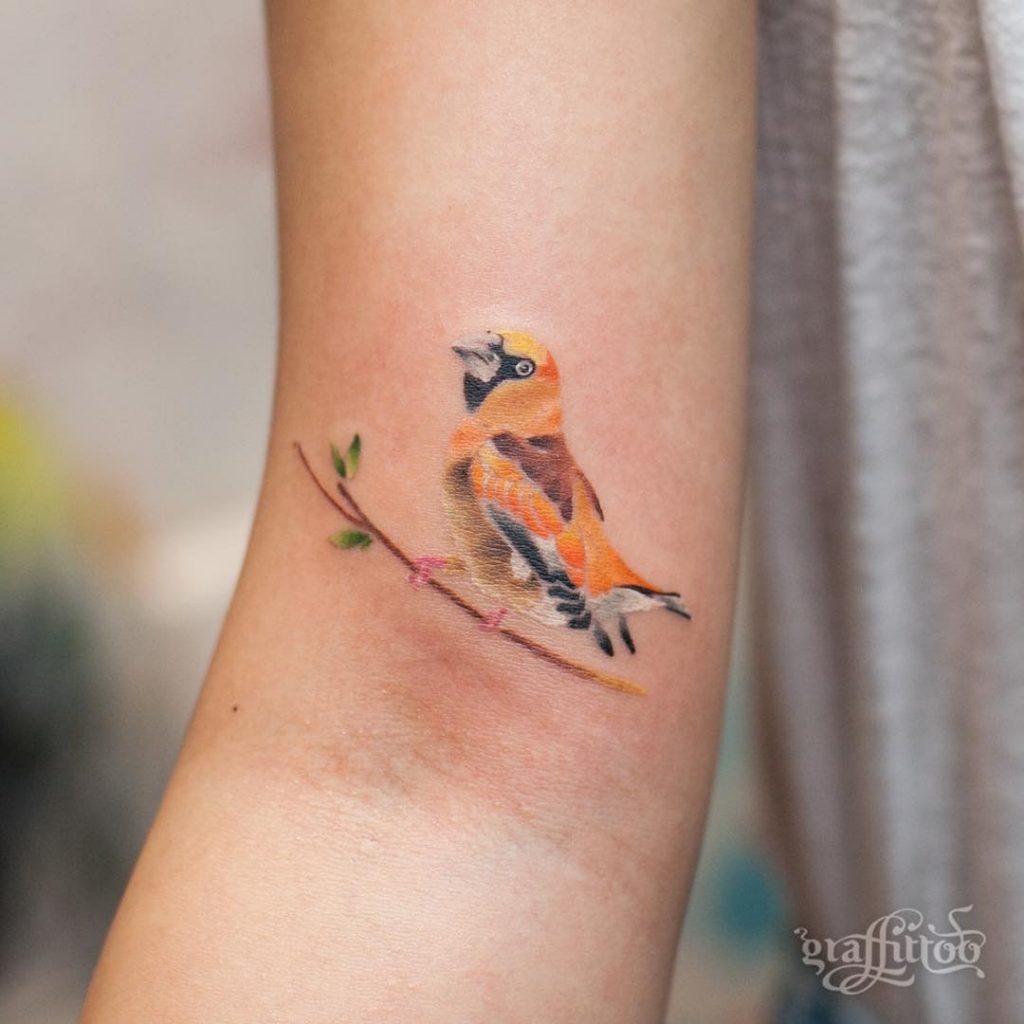 Northern cardinal sitting on a branch tattoo - Tattoogrid.net